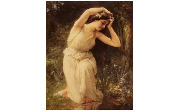 The Energetics of Flower Essences