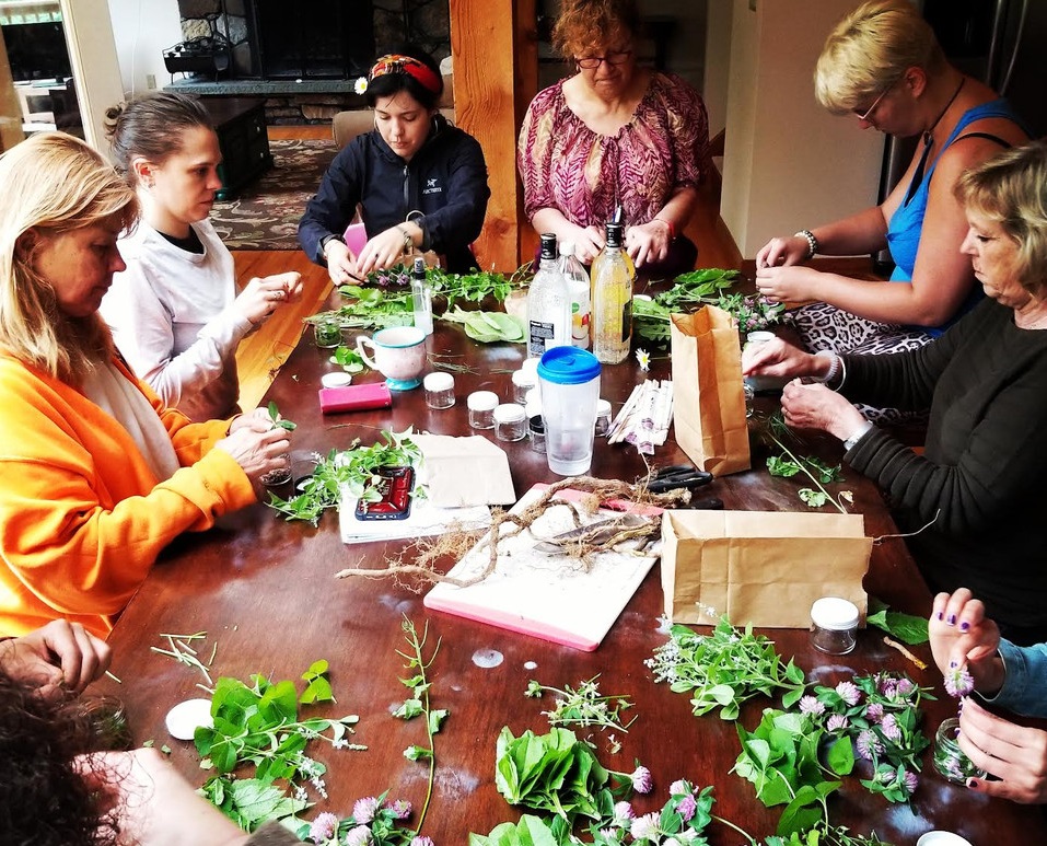Fungi and Plant Foraging Walk and Medicinal Tincture