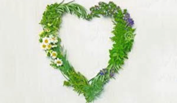 Herbs to Support a HEALTHY, HAPPY & LOVE FILLED HEART