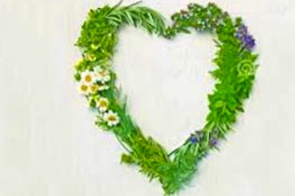 Herbs to Support a Healthy Loving Heart