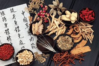 Chinese Medicine for the American Herbalist
