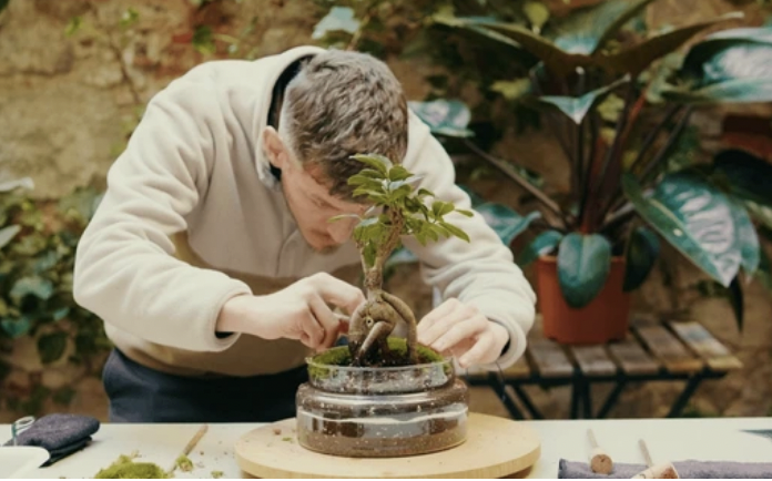 bonsai002.png