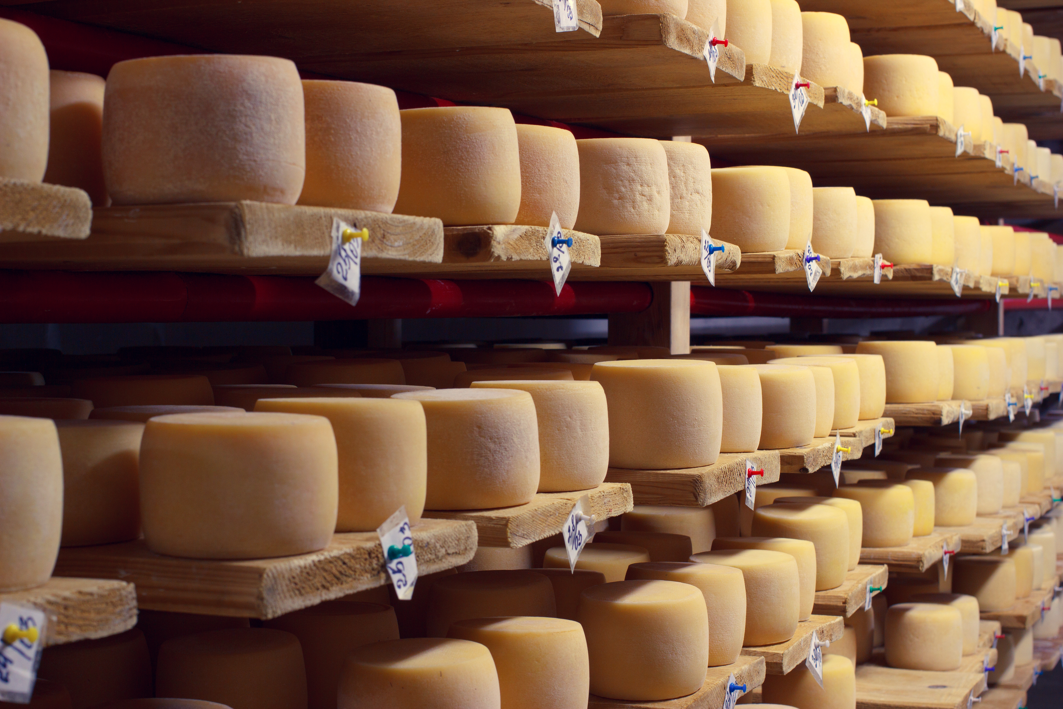 cheese4.jpg