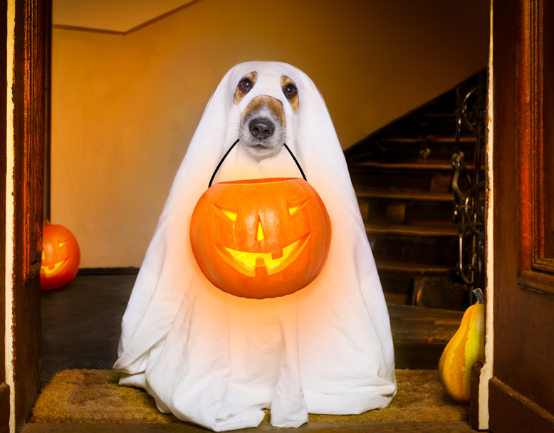 halloween3.png
