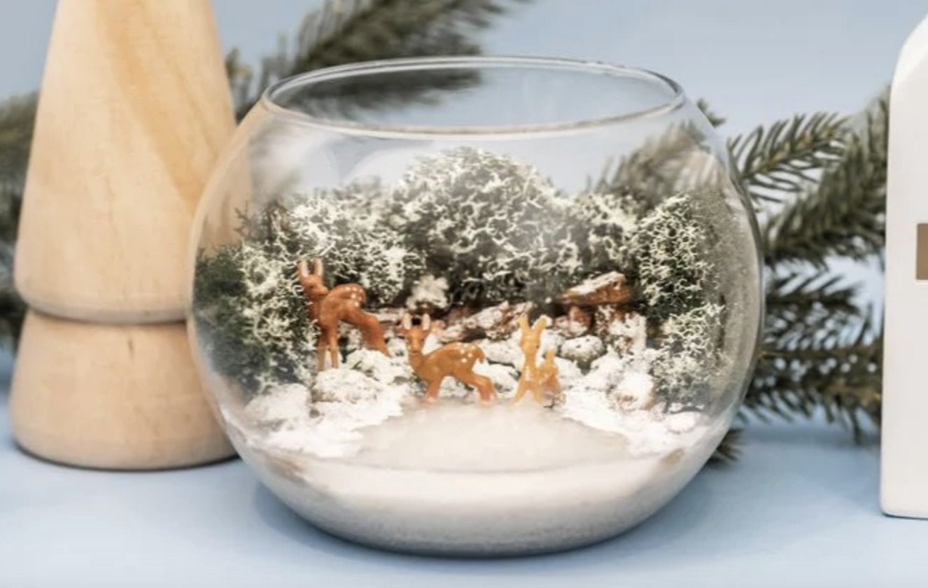 holiday terrarium4.jpeg