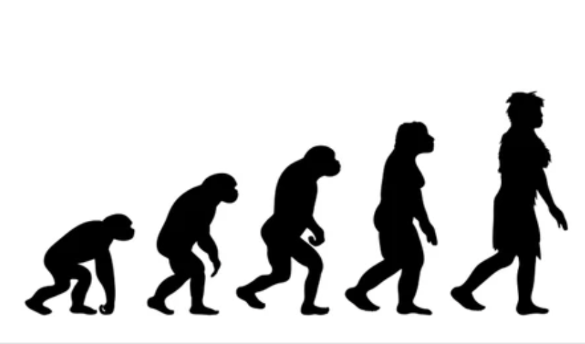 human1.png