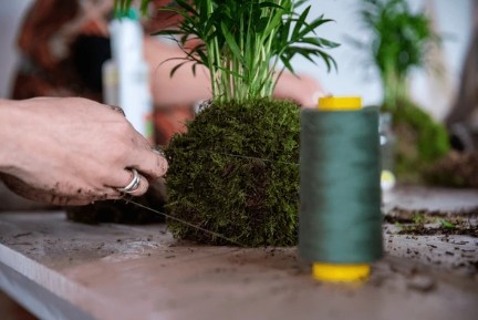 kokedama3.jpg