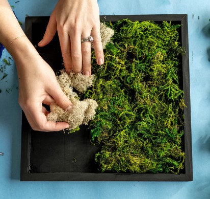 moss wall5.jpg