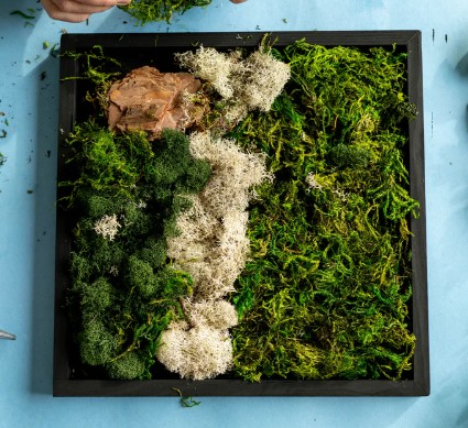 moss wall6.jpg