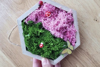 Virtual Workshop: Moss Wall Art (Kit Included)