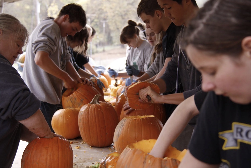 pumpkin002 Large.jpeg