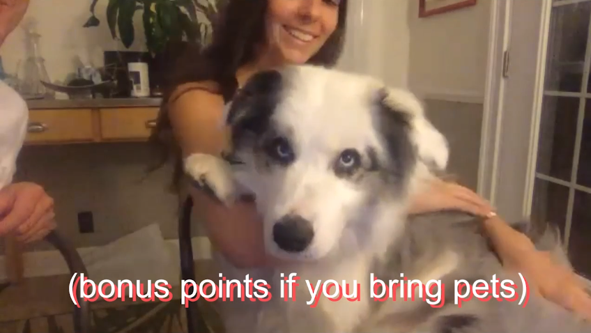 scavengerhuntpup.png