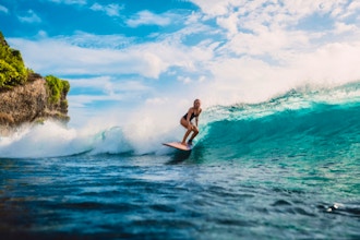 Virtual Trivia: Surfing