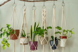 Virtual Macrame Workshop (Materials Included)