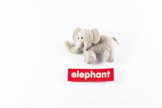 Virtual White Elephant Team Gift Experience