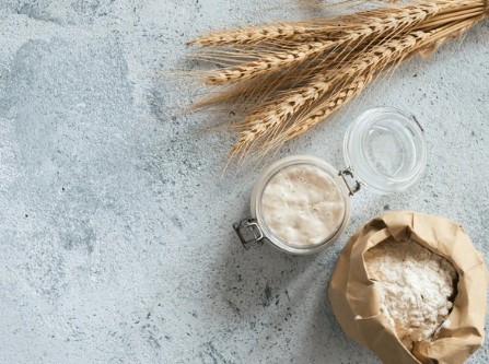 sourdough.jpg