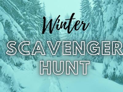 winter scavenger.png