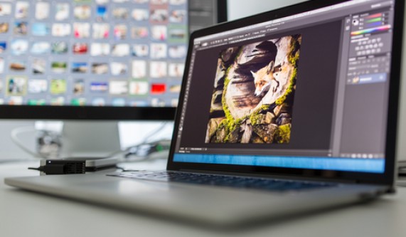 Beginner Adobe Photoshop