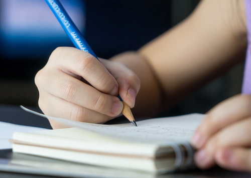 Basic Writing Skills (6th Grade & Up)