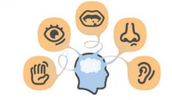 Sensory Processing Emotions and Behavior