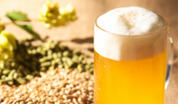 Introduction to Homebrewing