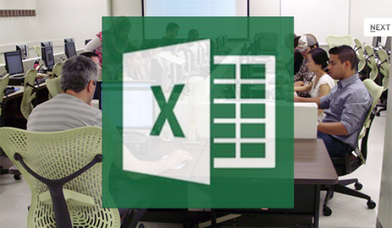 Microsoft Excel for Windows