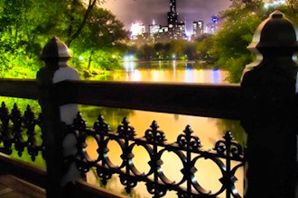 Central Park Night Shoot