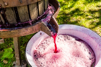 Wine Making for Two
