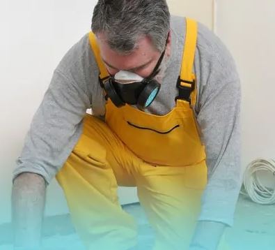 Mold Remediation