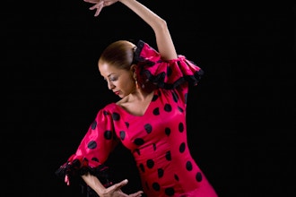 Intermediate Technique Flamenco