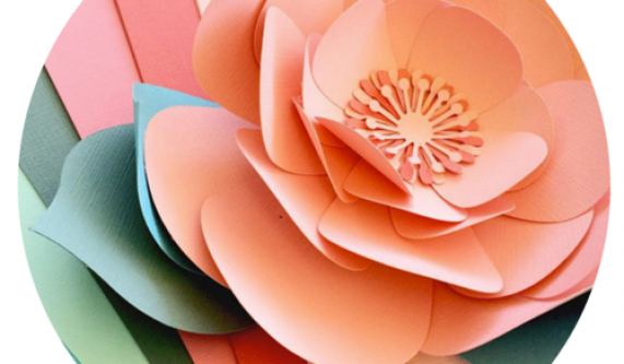 Intro to Paper Flowers