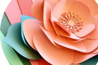 Intro to Paper Flowers