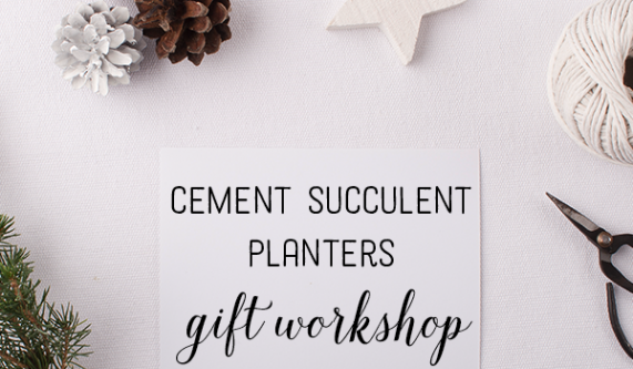 Holiday Gift Workshop: Cement Succulent Planters