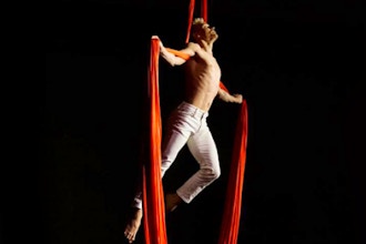 Silks and Rope Combo