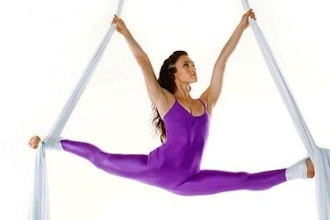Vertical Theory (Silks/Rope) - Level 2