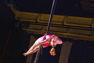 Silks (Open Level)