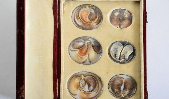 Learn The Art of Victorian Hair Work with Atlas Obscura