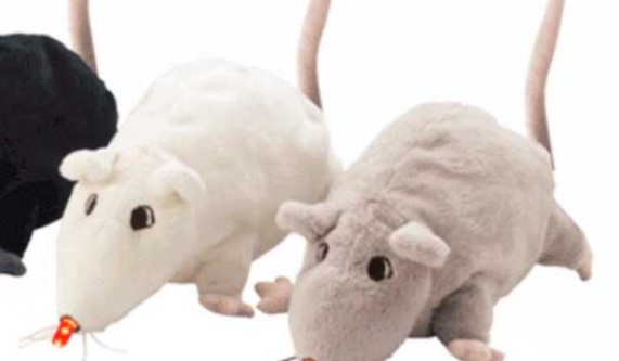 Toy Hacking with The Makery: Bring Your Toy to Life