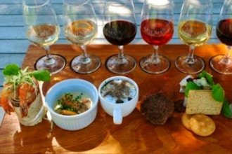 Wine Pairings & Dishes For Foodies