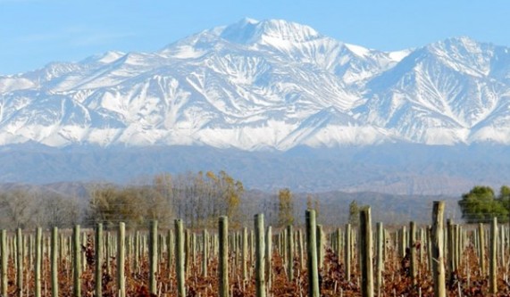 Wines of the Southern Hemisphere