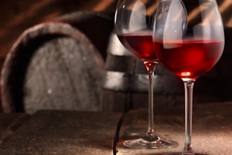 Wine 101: Discovering Your Palate