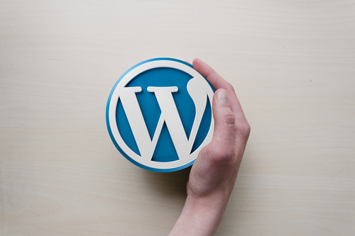 WordPress Level 2