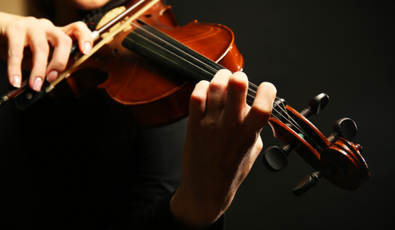 Violin Class for the Novice