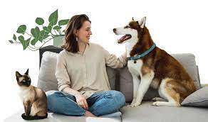 Make Money Pet Sitting