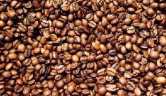 Coffee 101