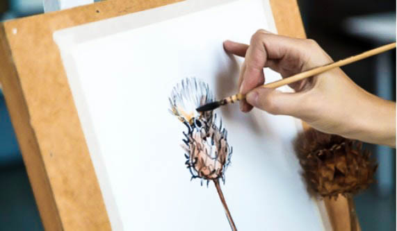 Watercolor Workshop