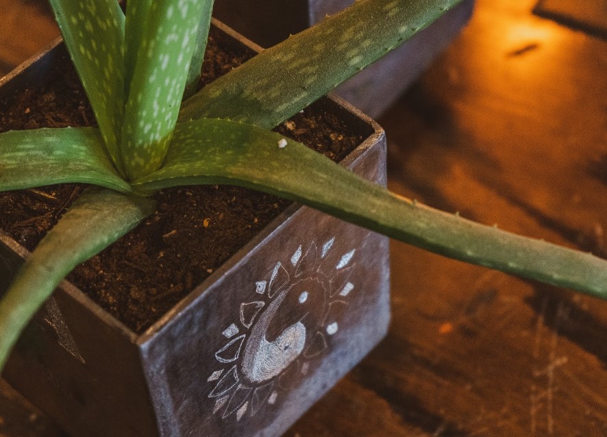 Date Night: Make a Steel Planter Box (Introduction to Welding and Metal Fabrication)