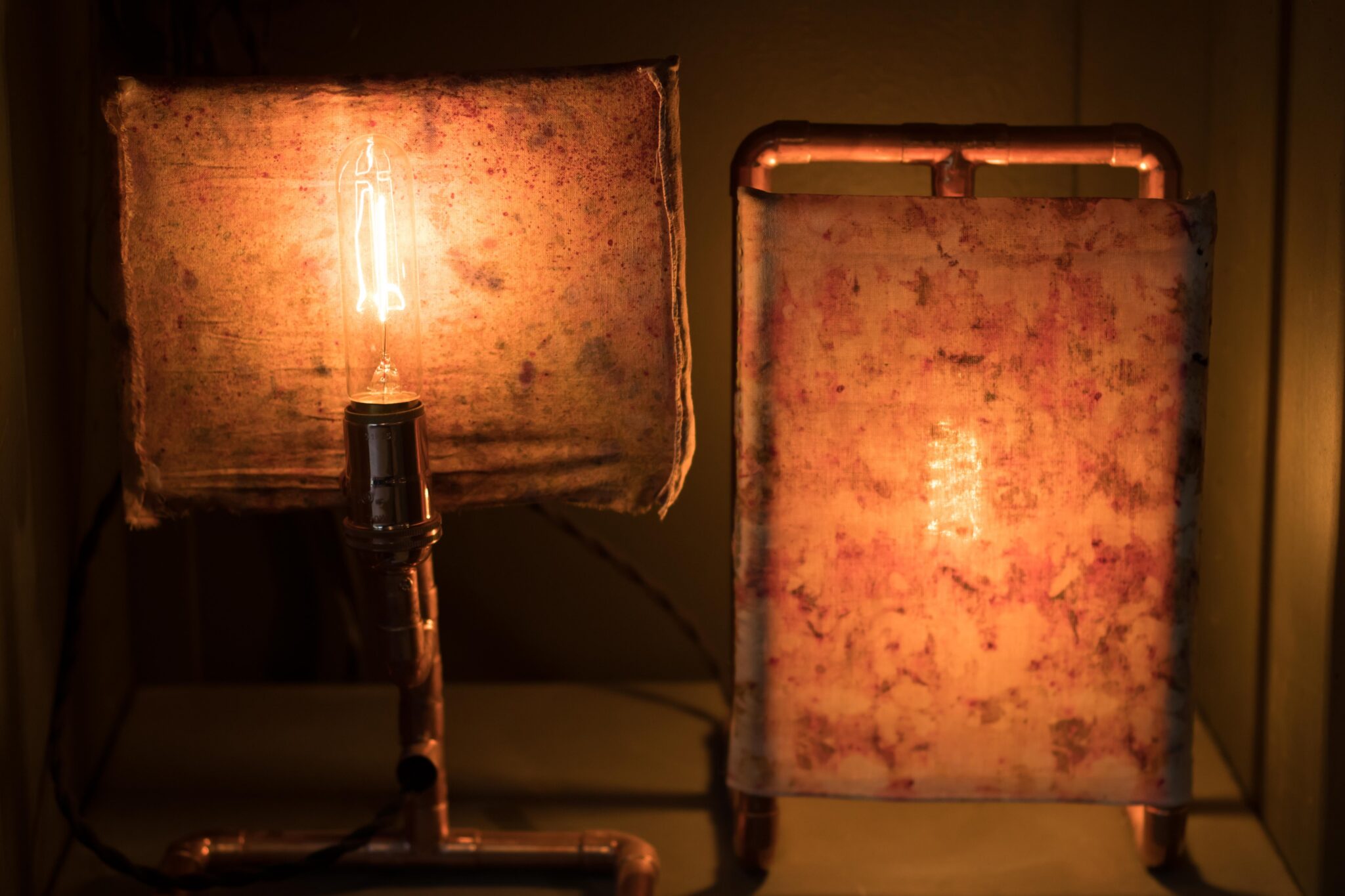 Date Night: Create Illuminated Botanicals: Natural Dye Lamp Making