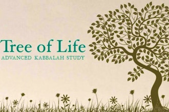 Advanced Kabbalah Study-Tree of Life