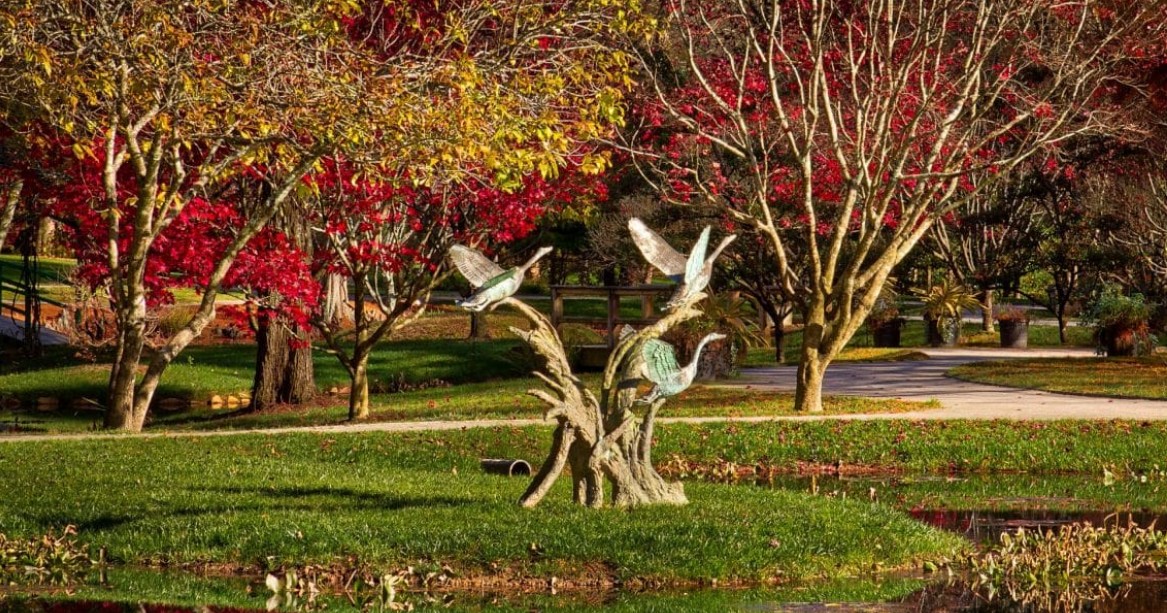 Digital Photography Live In-the-Field @ Gibbs Gardens
